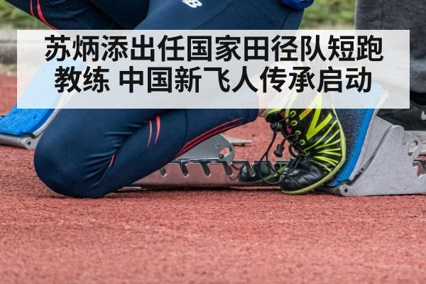 苏炳添出任国家田径队短跑教练 中国新飞人传承启动