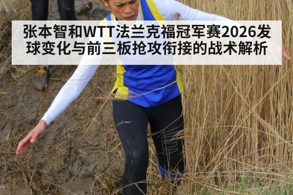张本智和WTT法兰克福冠军赛2026发球变化与前三板抢攻衔接的战术解析